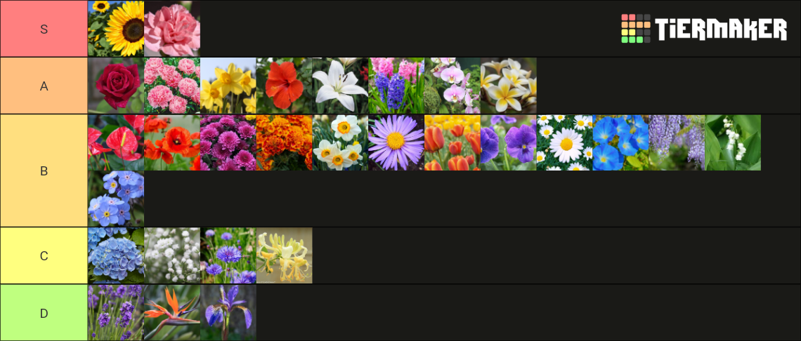 Ranking Flowers :D Tier List (Community Rankings) - TierMaker