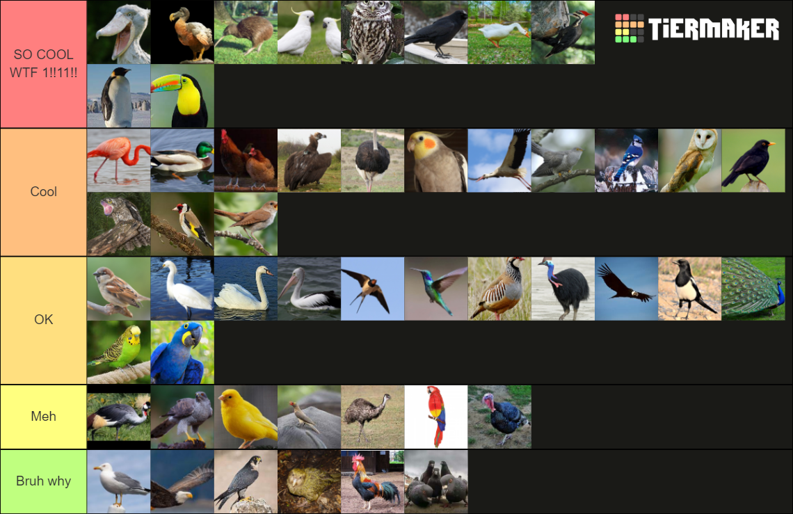 Bird Birds Tier List Community Rankings Tiermaker