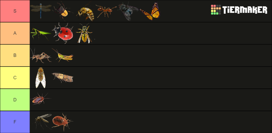 Insects Tier List (Community Rankings) - TierMaker