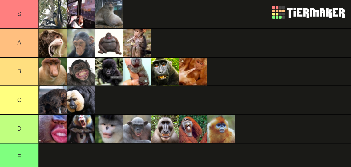 Monkey Tier List Community Rankings Tiermaker