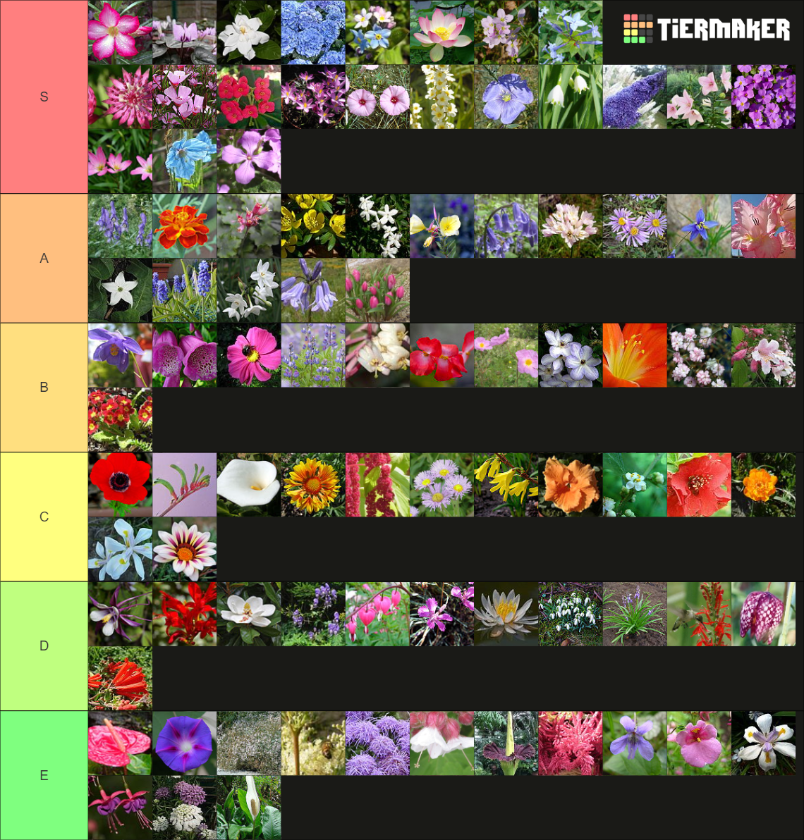 Flower Tier List (Community Rankings) - TierMaker