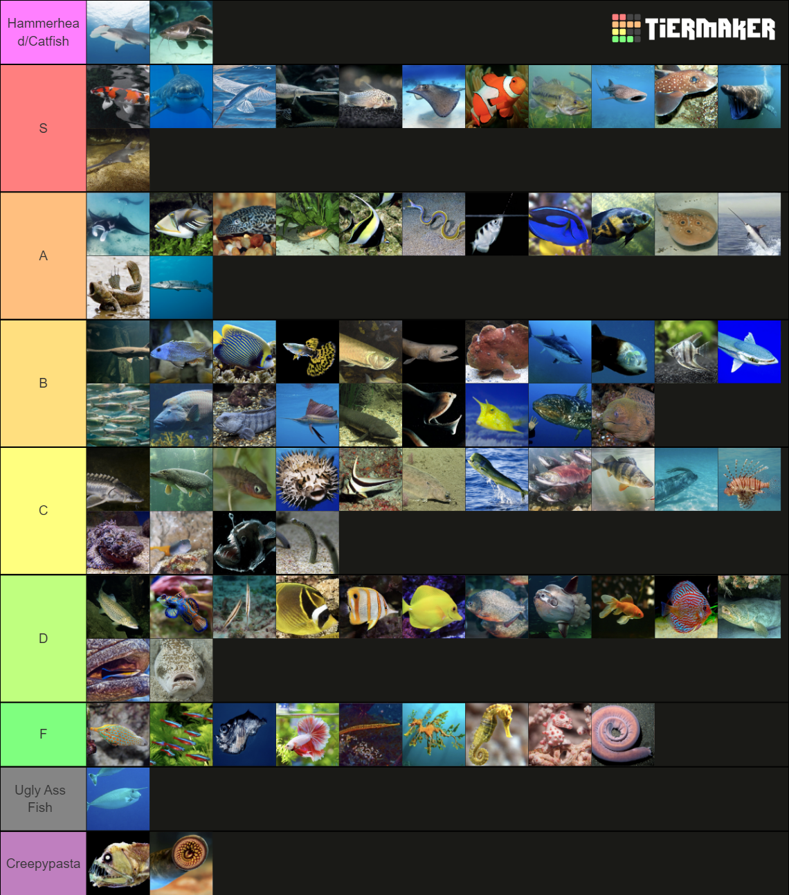 Fish Tier List (Community Rankings) - TierMaker