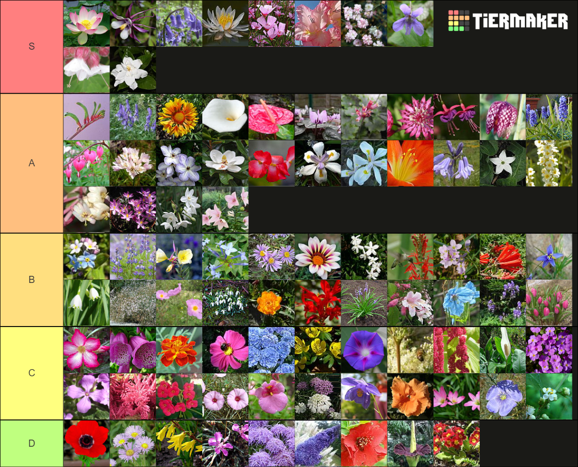 Flower Tier List (Community Rankings) - TierMaker