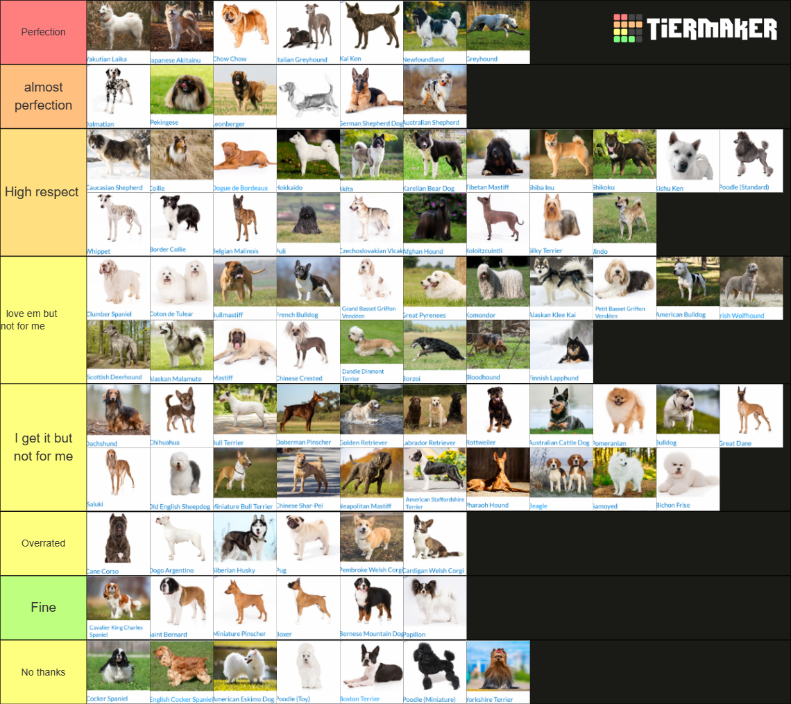 AKC Dog Breeds Tier List Rankings) TierMaker