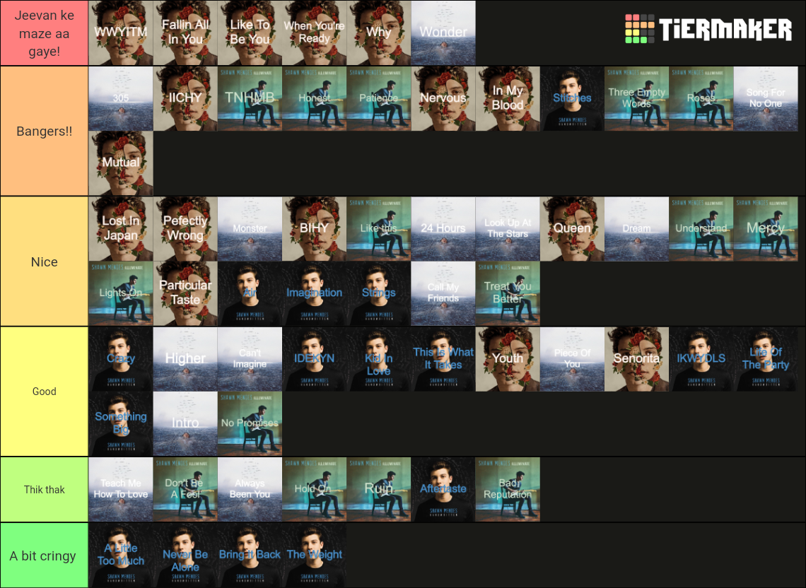 Shawn Mendes All songs from albums Tier List Rankings