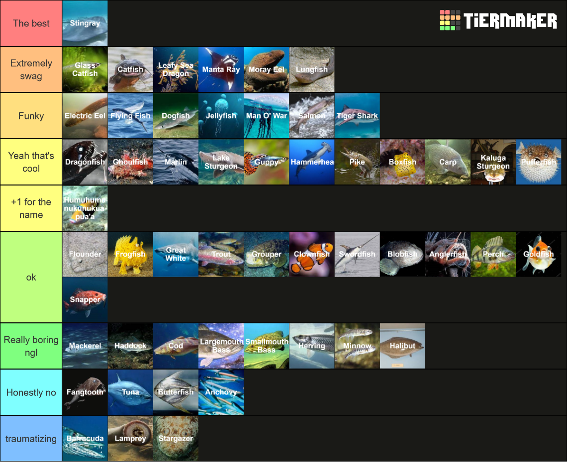 Fish Species Tier List (Community Rankings) - TierMaker
