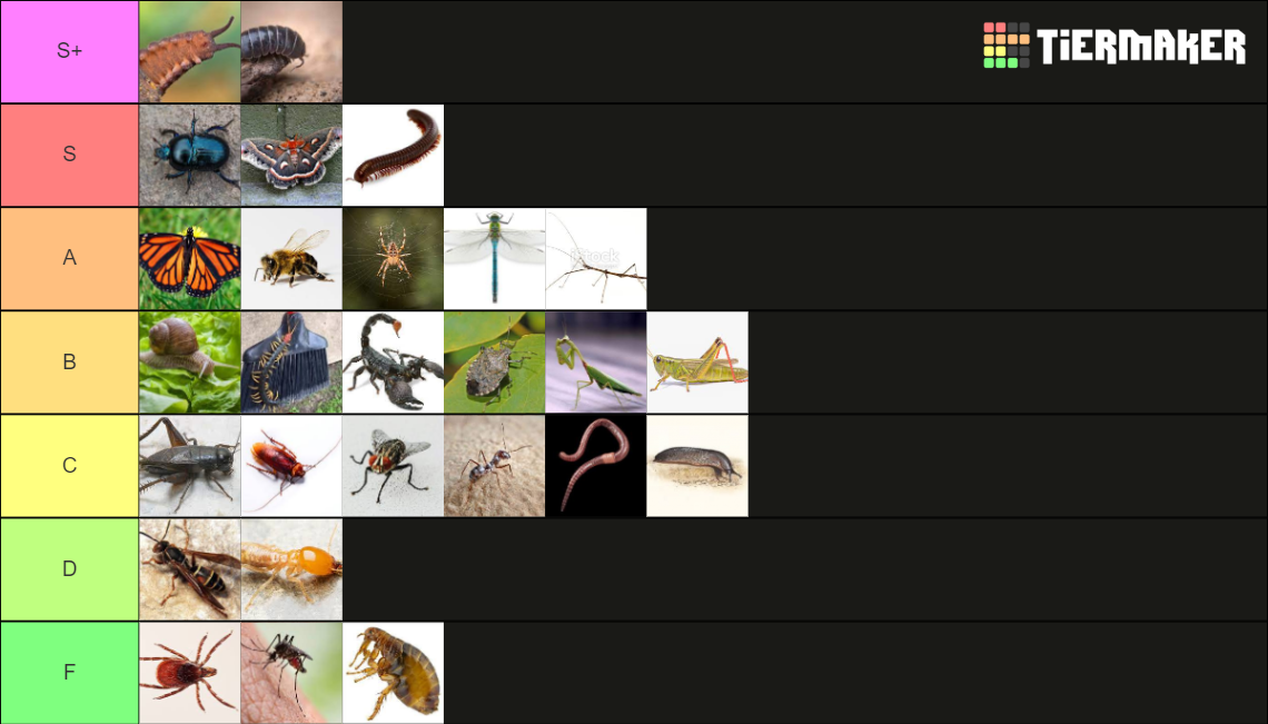 Small Critters (mostly bugs) Tier List (Community Rankings) - TierMaker