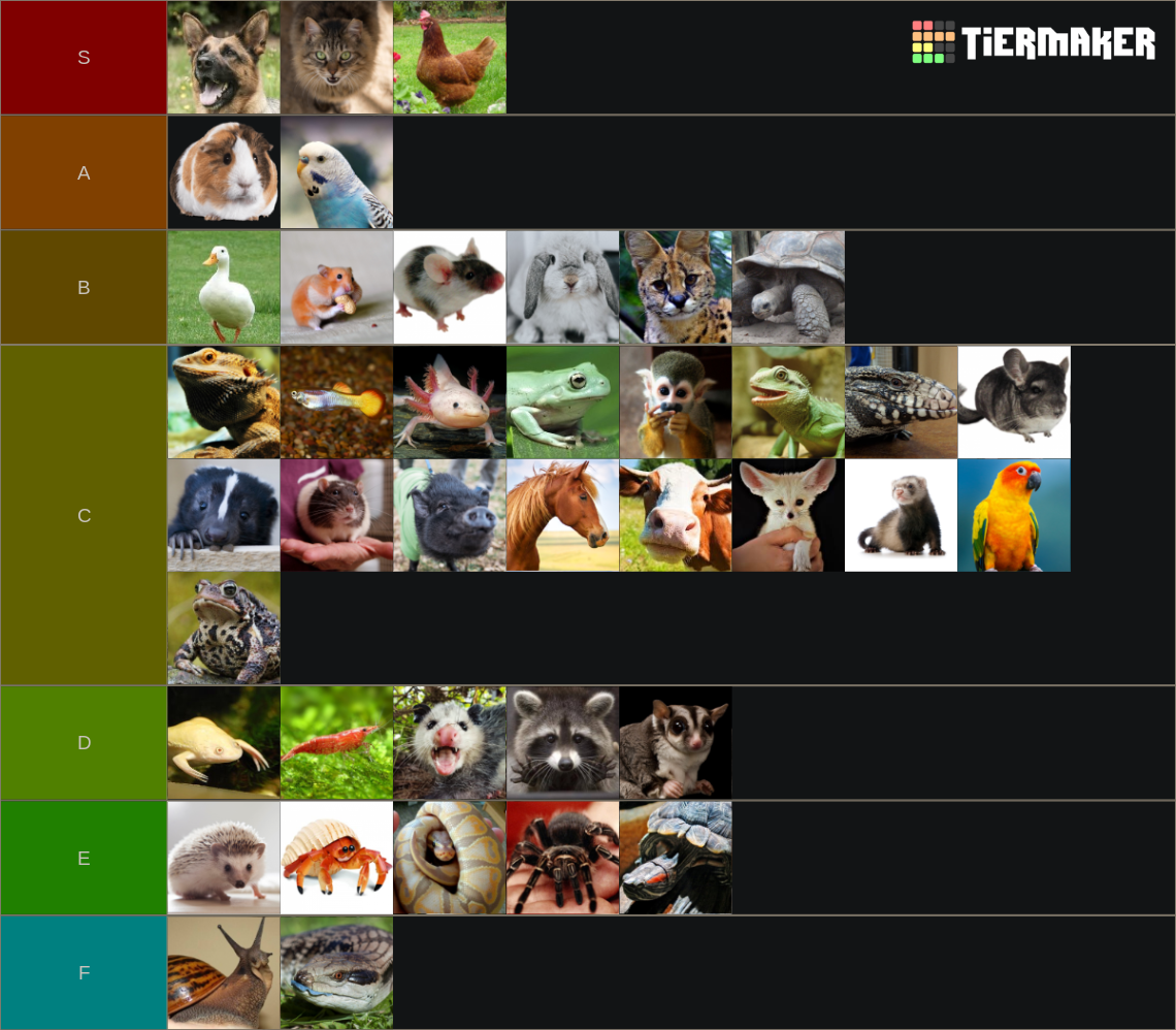 ULTIMATE PET TIER LIST Tier List (Community Rankings) - TierMaker