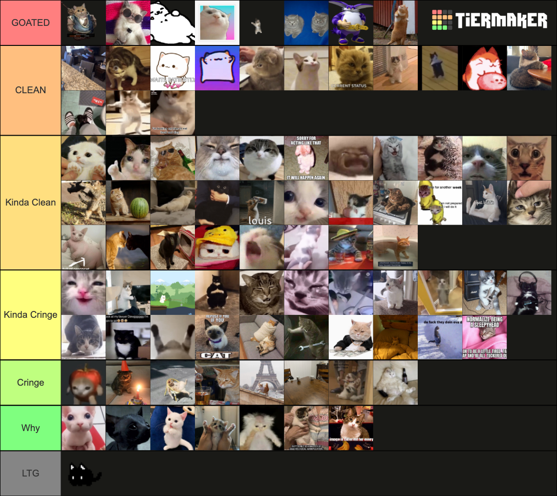 Timb's Cat Meme Maker Tier List (Community Rankings) - TierMaker