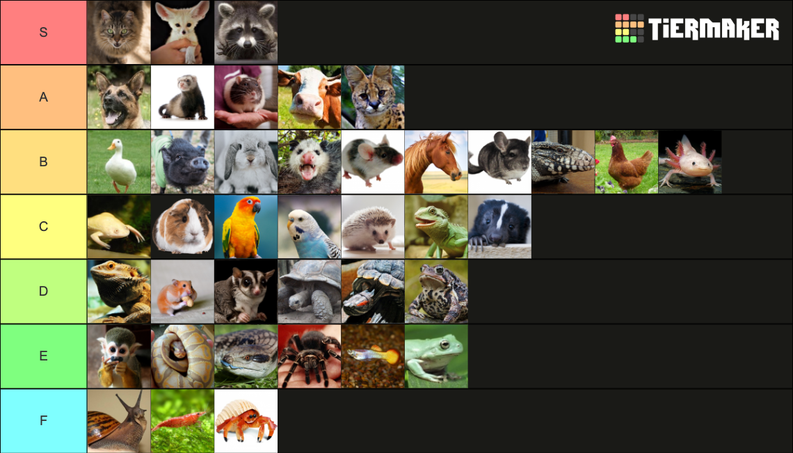 ULTIMATE PET TIER LIST Tier List (Community Rankings) - TierMaker