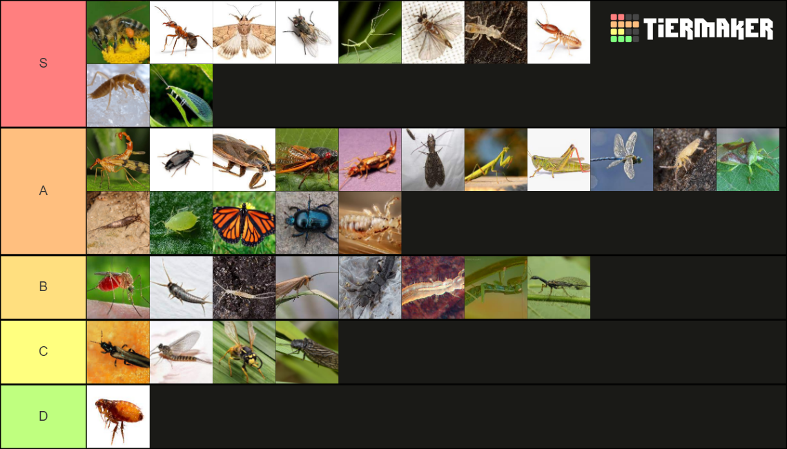 insect-tierlist-tier-list-community-rankings-tiermaker