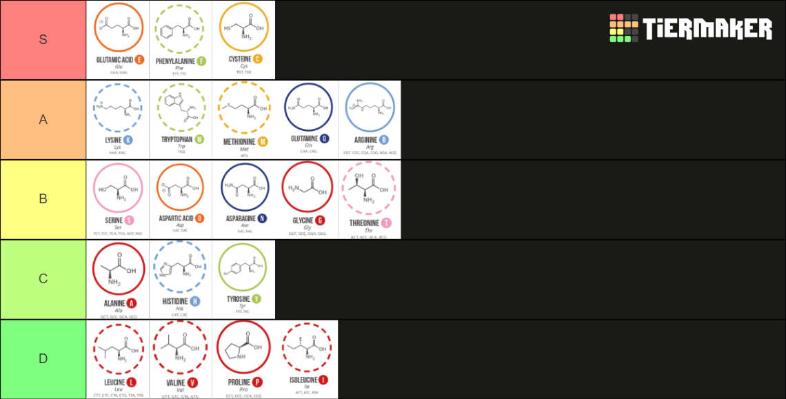Amino Acids Tier List Rankings) TierMaker