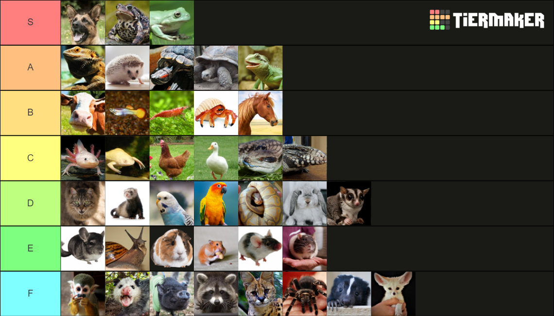 ULTIMATE PET TIER LIST Tier List (Community Rankings) - TierMaker