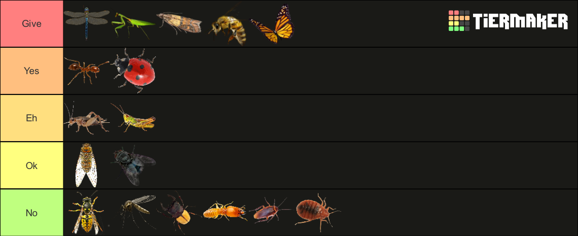 insects-tier-list-community-rankings-tiermaker