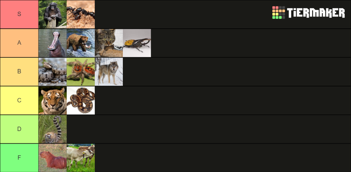 Land Animal List Tier List (Community Rankings) - TierMaker