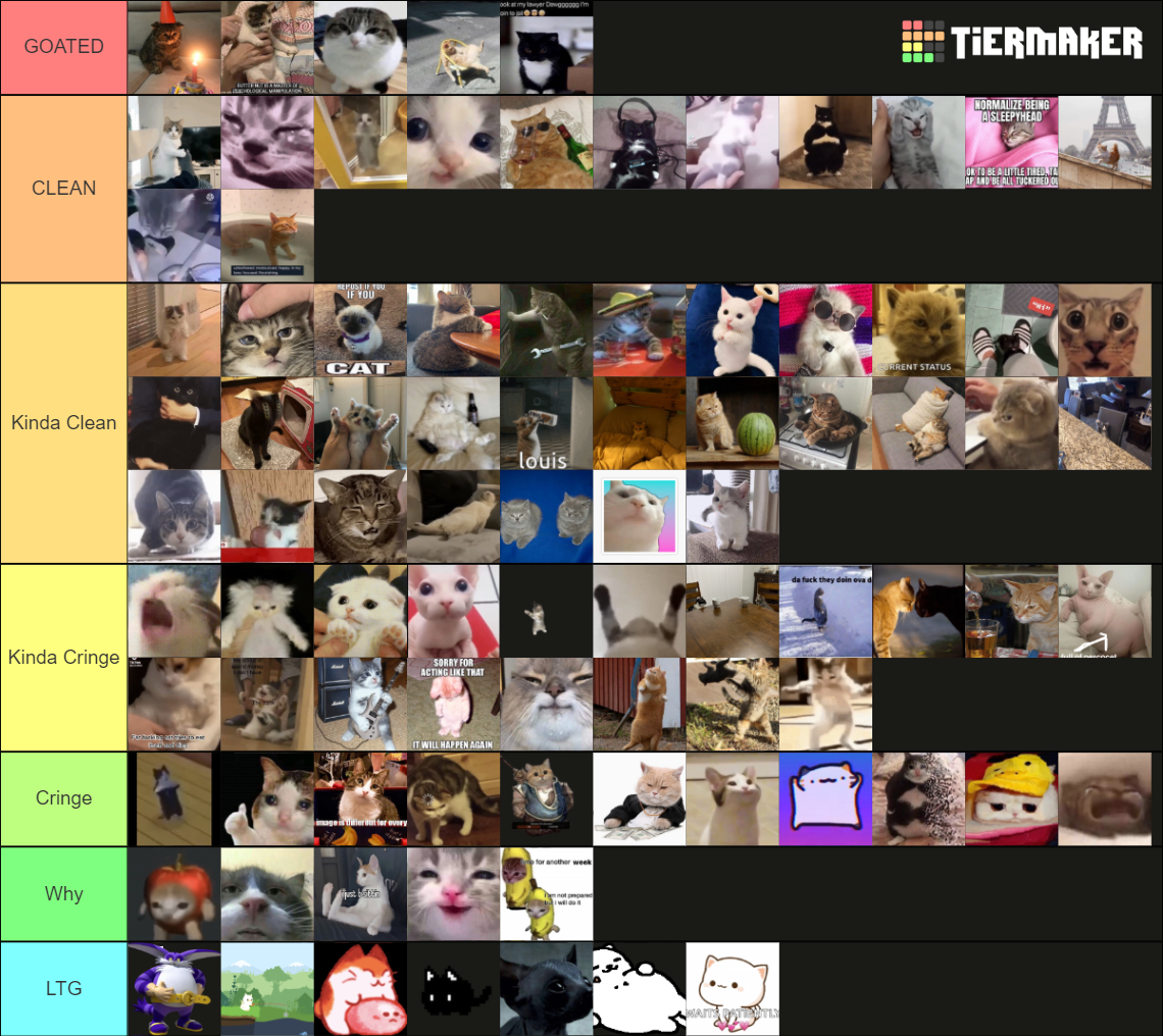 Timb's Cat Meme Maker Tier List (Community Rankings) - TierMaker