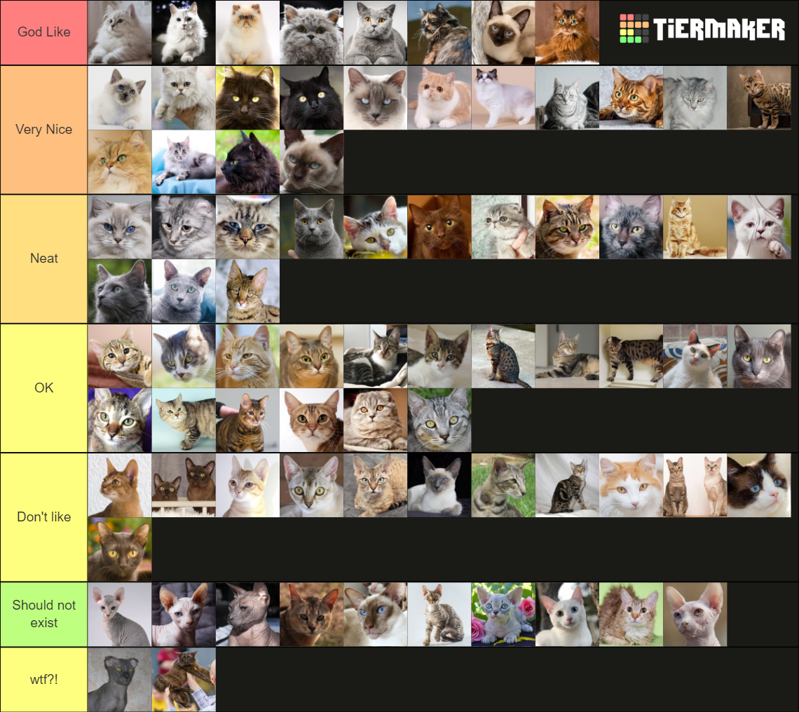 Cat breeds Tier List Rankings) TierMaker