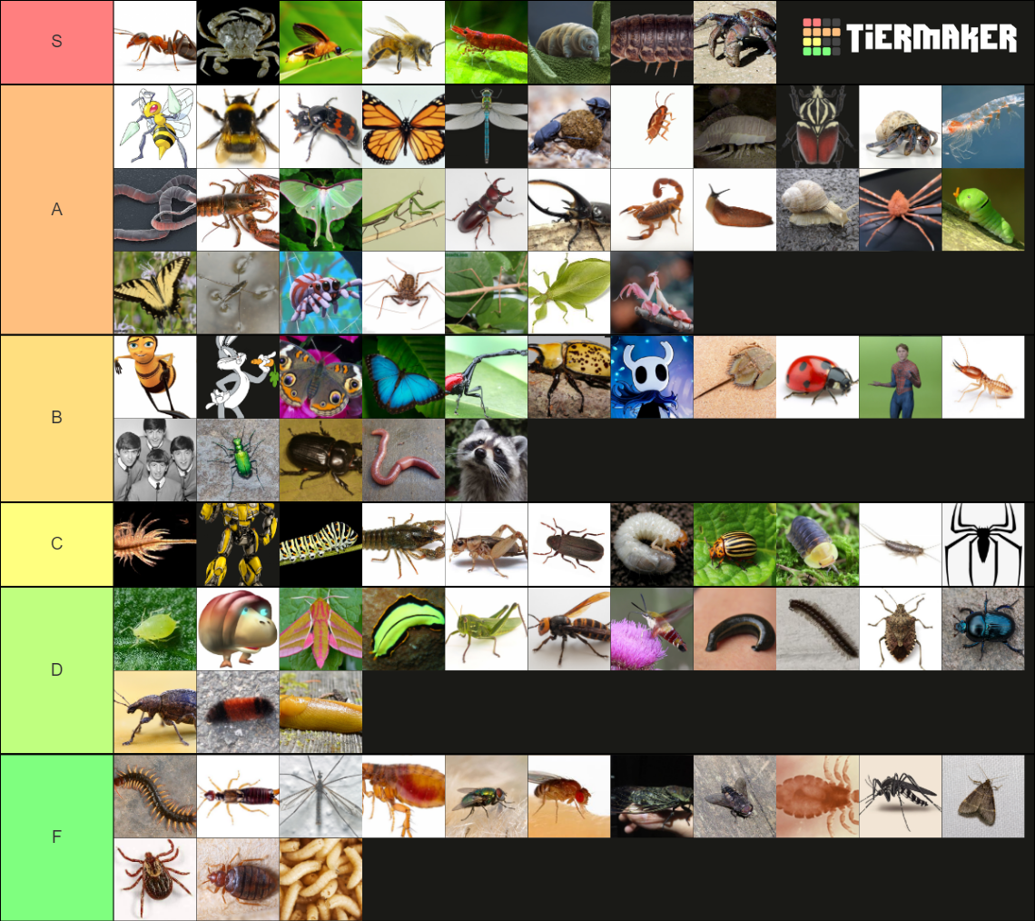 Bug Improved Tier List Community Rankings Tiermaker 