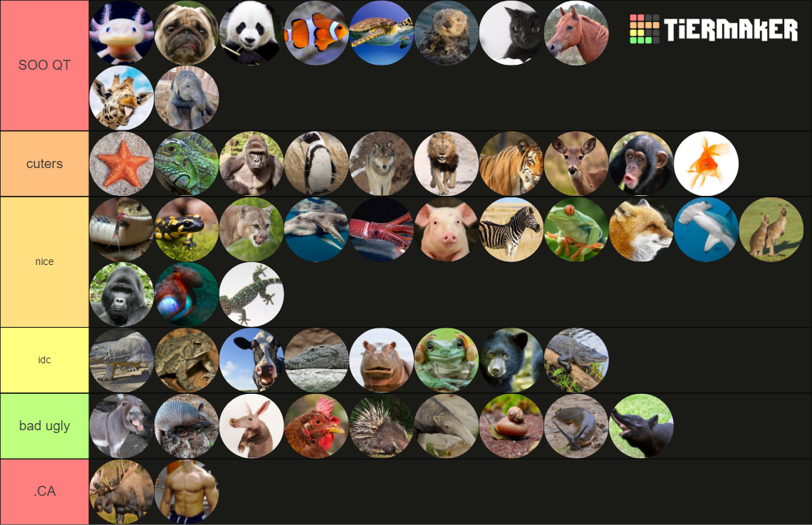 Animals Tier List (Community Rankings) - TierMaker