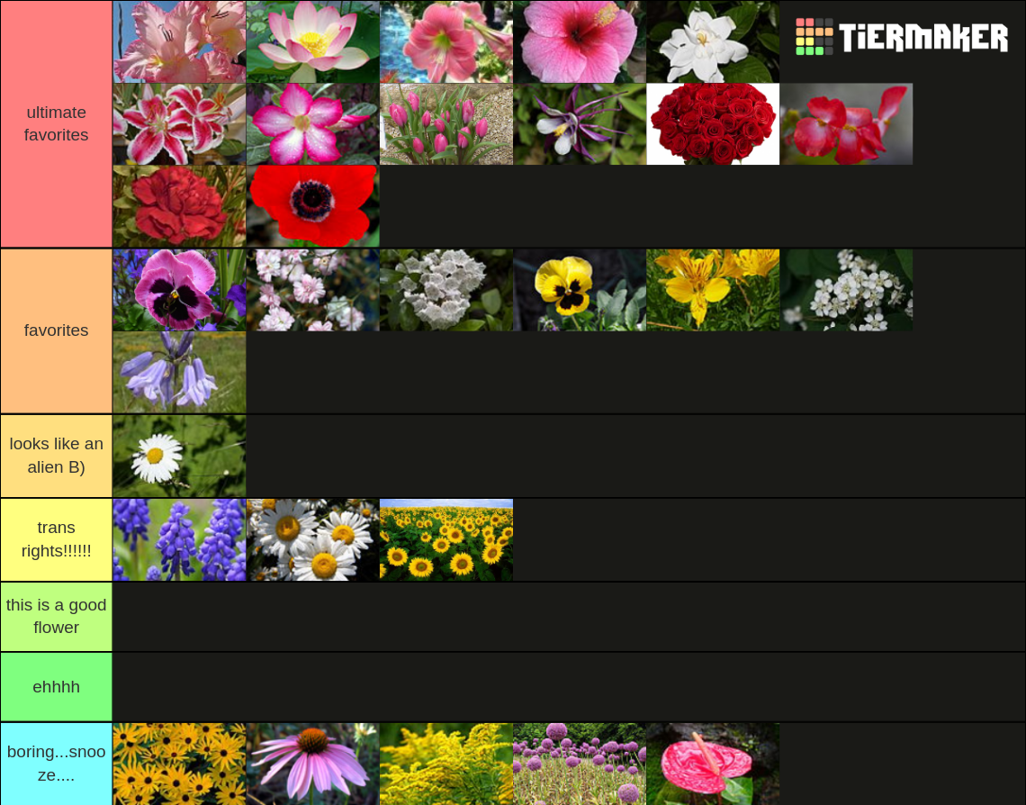 rating flowers Tier List Rankings) TierMaker