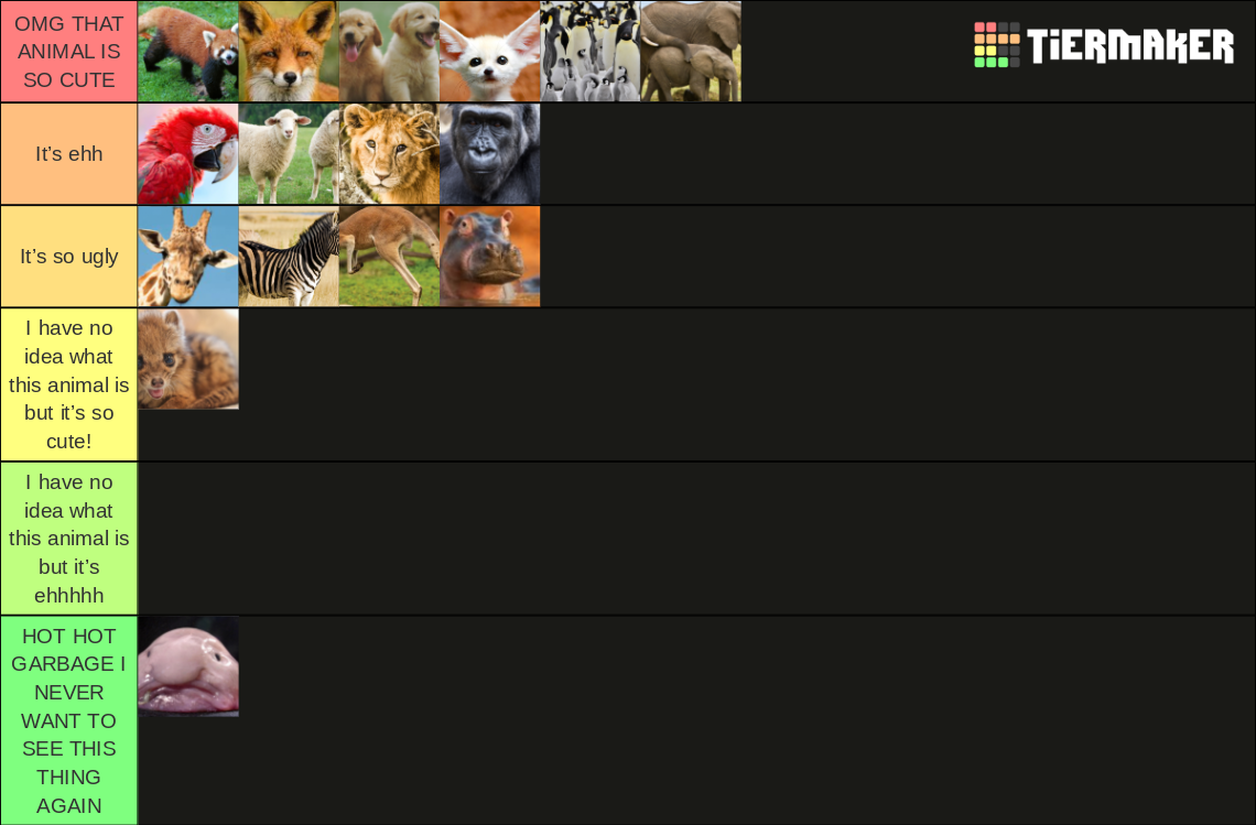 cutest-animals-tier-list-community-rankings-tiermaker