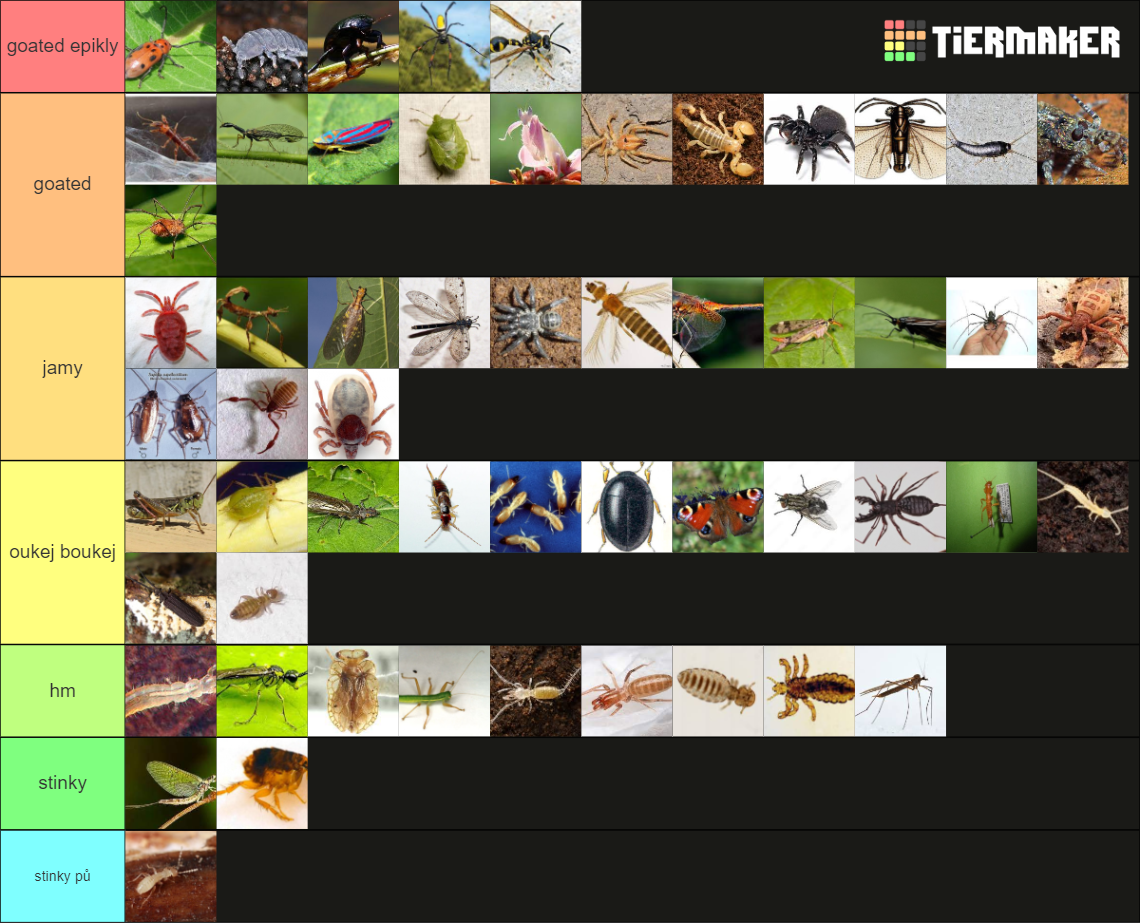 invertebrates 3 Tier List (Community Rankings) - TierMaker