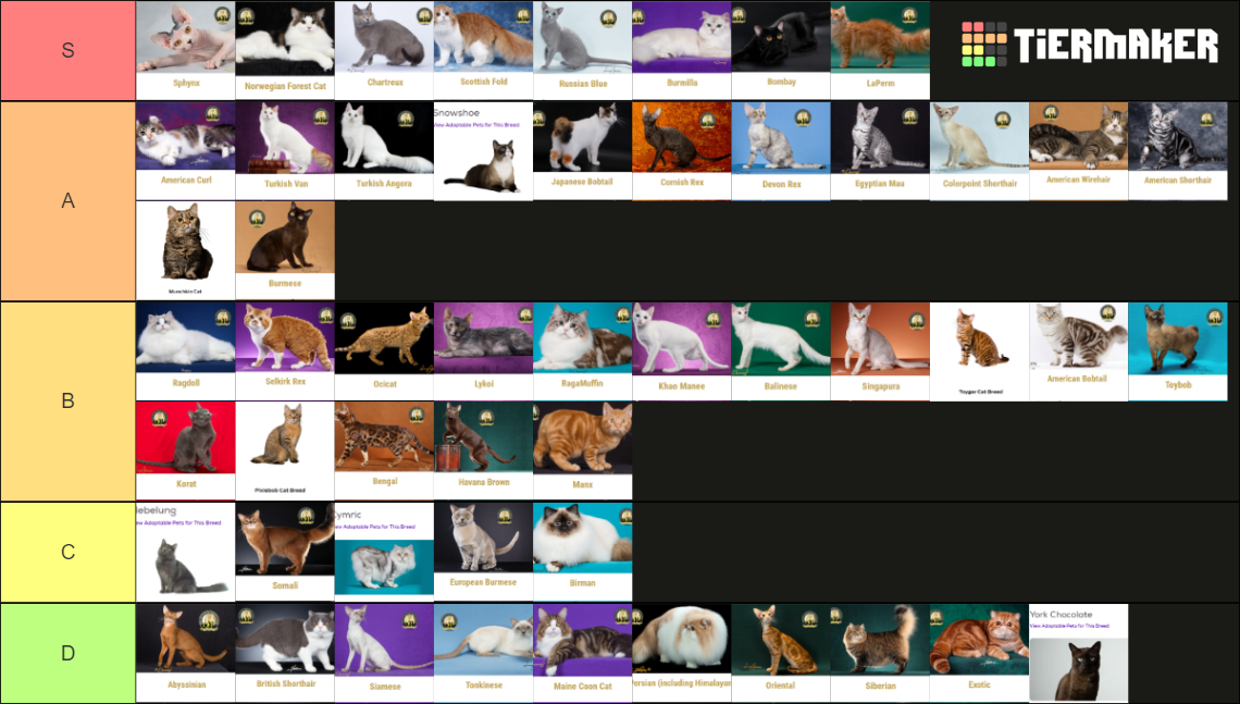 Cat Breeds labeled images 2nd round Tier List Rankings