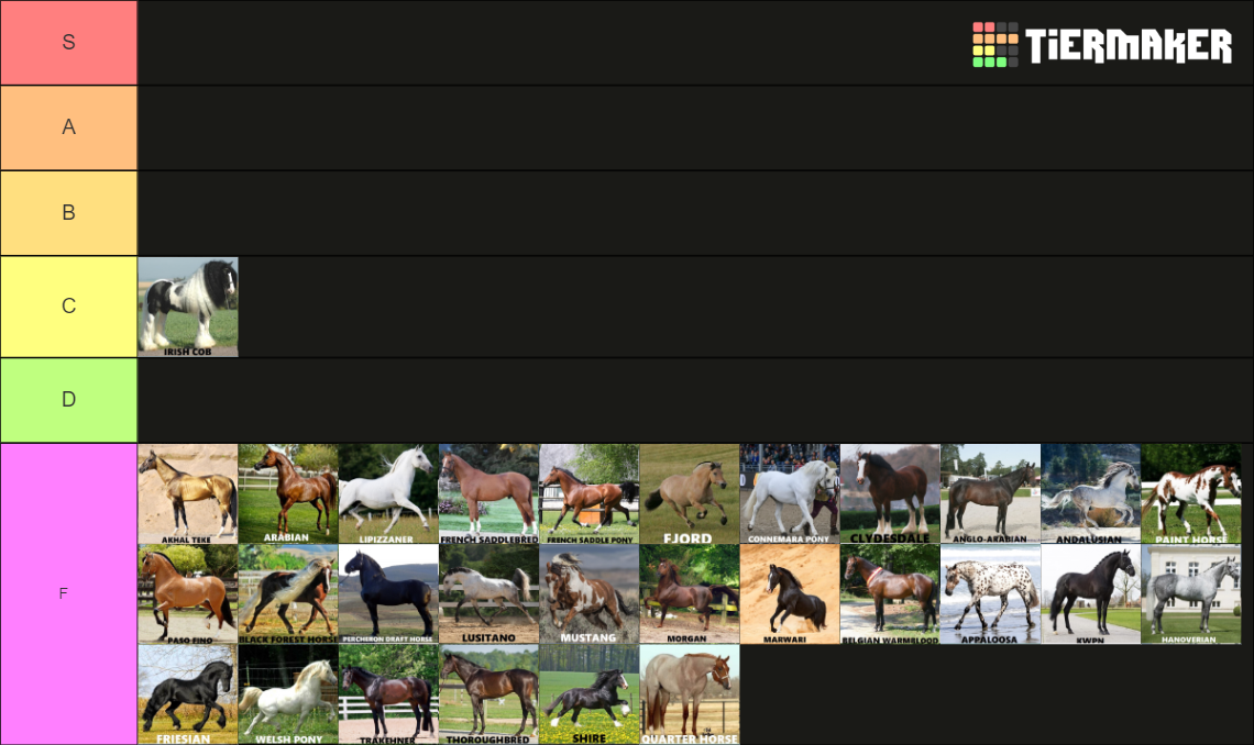 Horse breeds Tier List Rankings) TierMaker