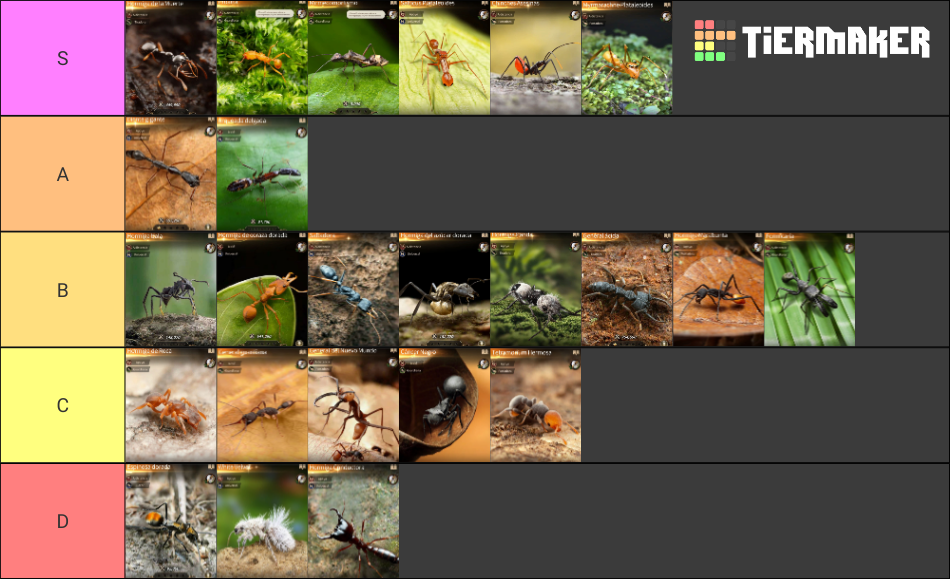 The Ants Underground Kingdom Special Ants Tier List (Community Rankings ...