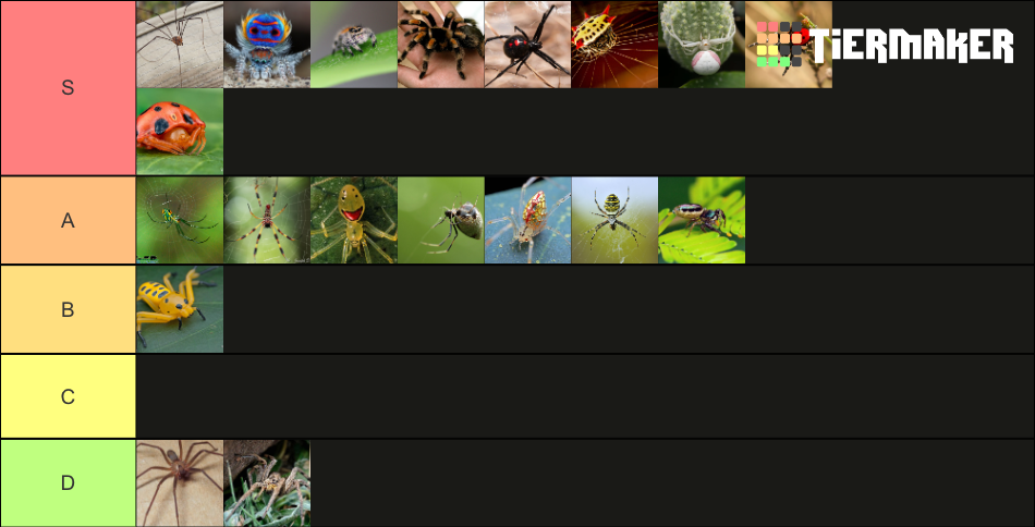 Spiders lots Tier List (Community Rankings) - TierMaker