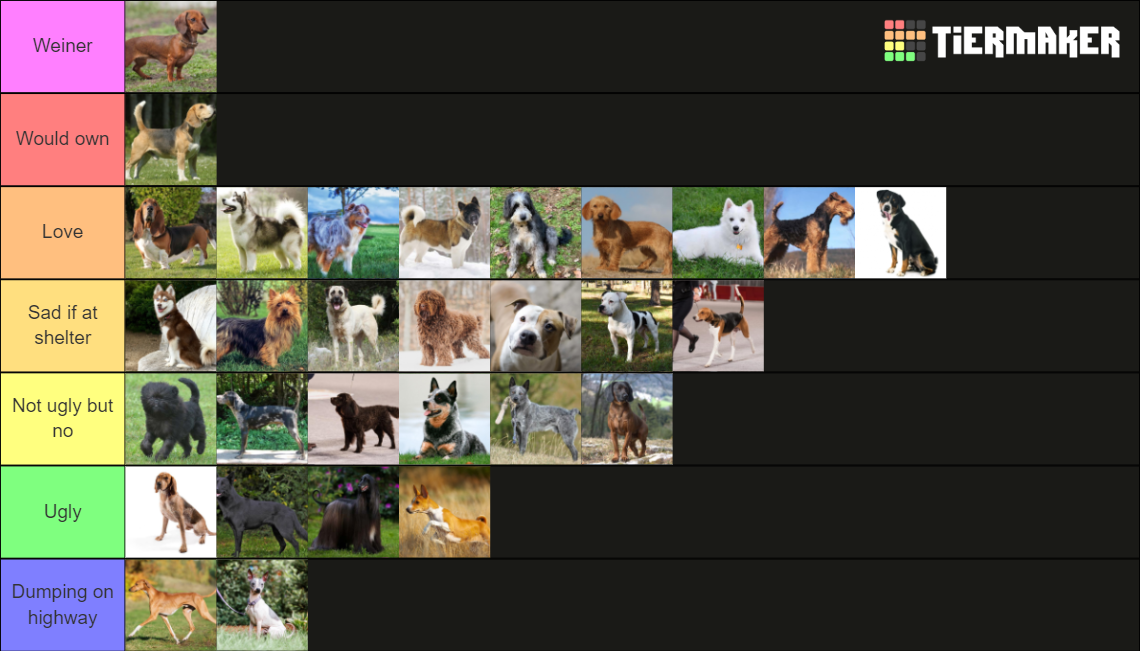 Every Official Dog Breed From AKC Tier List Rankings