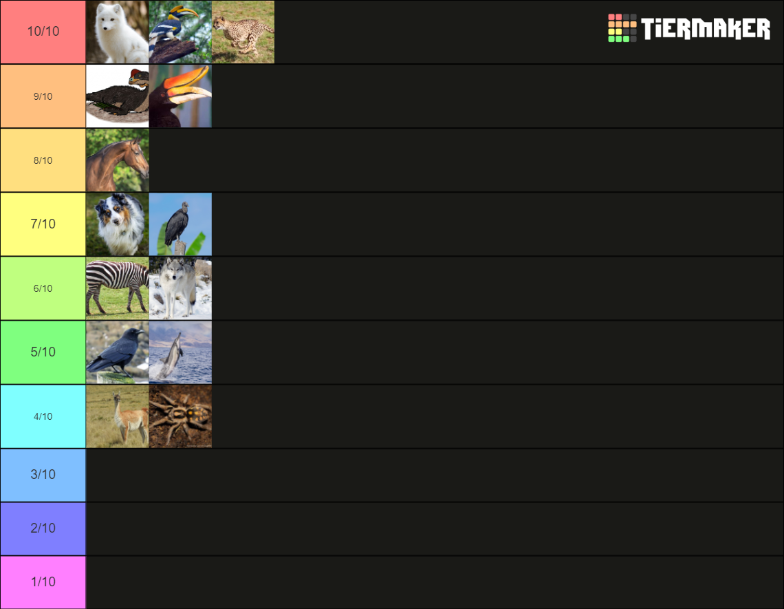 my-theriotypes-tier-list-community-rankings-tiermaker