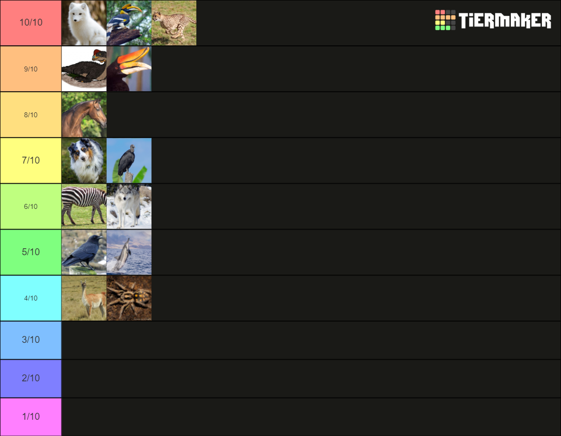 My Theriotypes Tier List Community Rankings TierMaker
