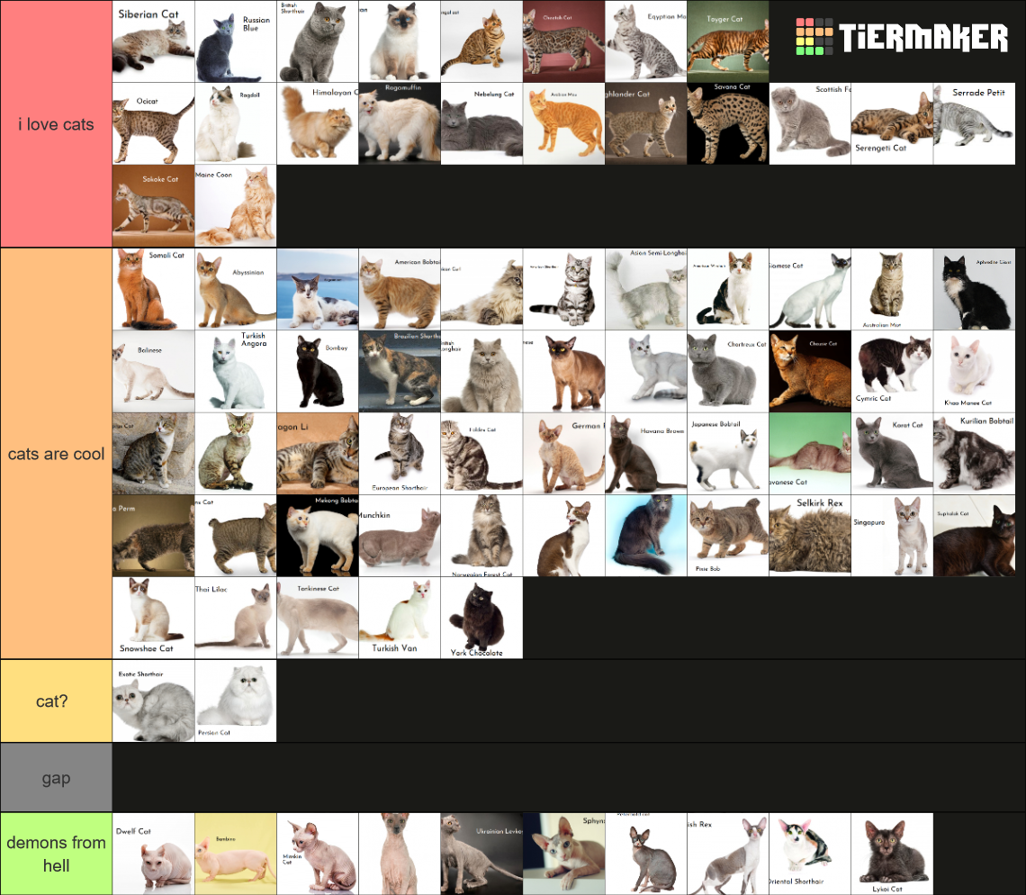 Cat breeds Tier List (Community Rankings) - TierMaker