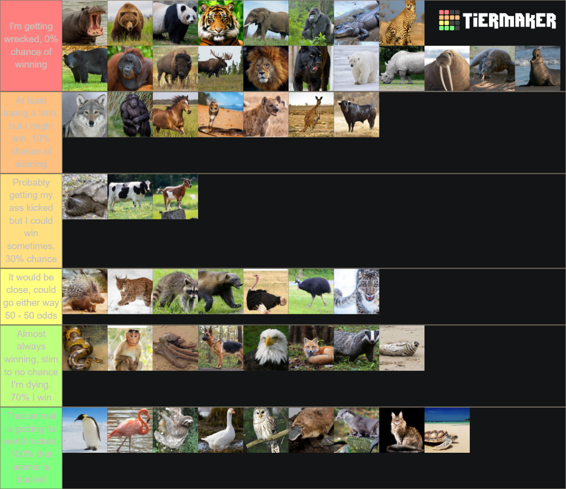 animals-i-could-fight-tier-list-community-rankings-tiermaker