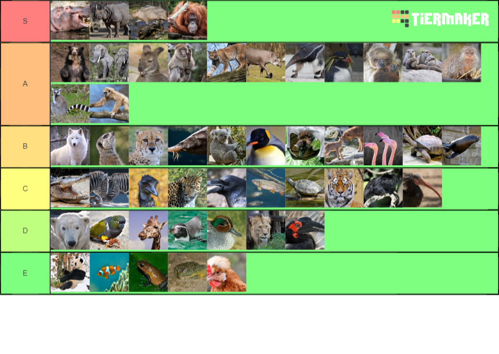 Create a Tierlist Tiere Tier List - TierMaker