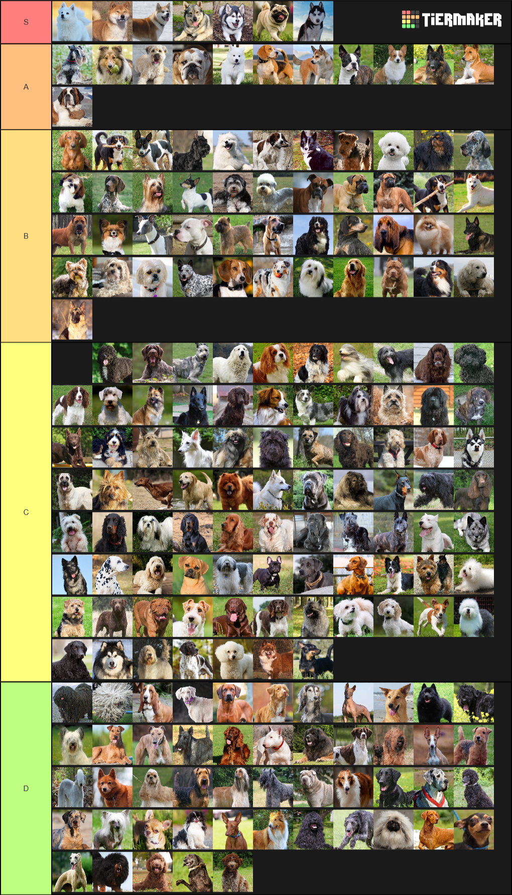 dog-breeds-tier-lists-tier-maker